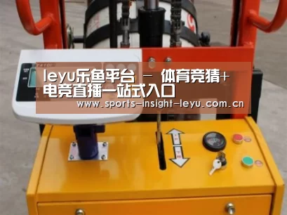乐鱼入口案例展示三
