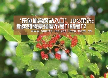 ‘乐鱼体育网站入口’JDG采访:新英雄腕豪强度不是T1就是T2(图1) 乐鱼入口
